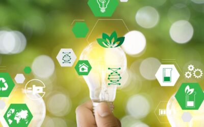 Green Claims e microimprese: quanto costa la sostenibilità?